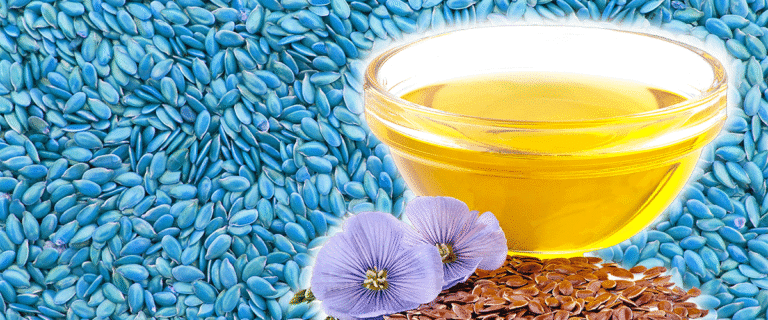 Leinsamen die Omega3 Quelle