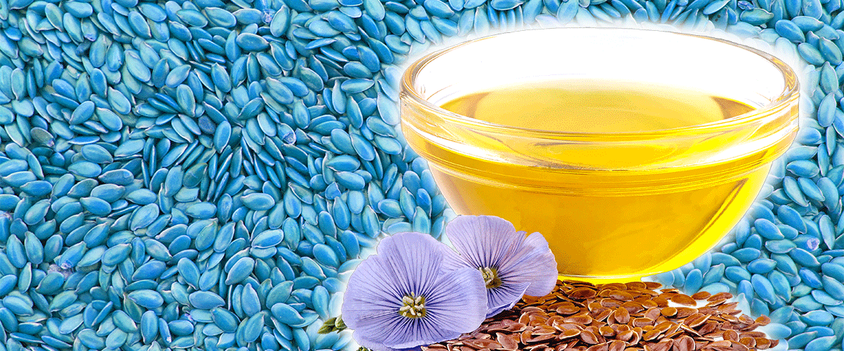 Leinsamen die Omega3 Quelle
